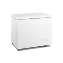 Freezer Electrolux 315L Thumbnail 2