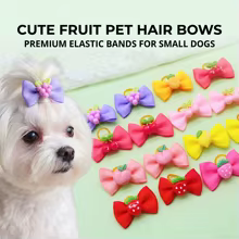Laços de Cães Frutas 3D - MRUQ PET Thumbnail 5