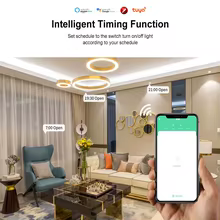 Interruptor Inteligente Zigbee 30A Thumbnail 6