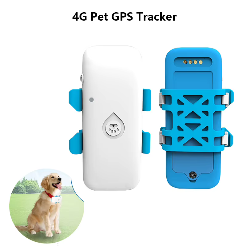 Rastreador GPS 4G para Pets