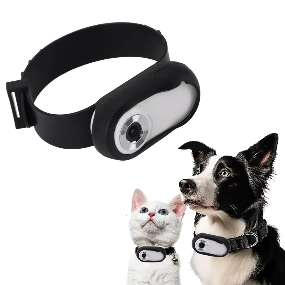 Câmera de Coleira Pet HD 1080P