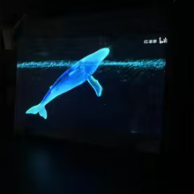 Tela de Projeção Holográfica Anti-luz 1.52x0.5m Thumbnail 2