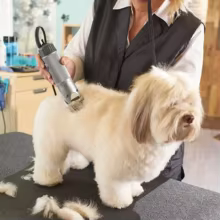 Lâmina de Aço para Cortador de Cães Thumbnail 5