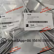 Sonda de Temperatura York 024W33670 Thumbnail 2