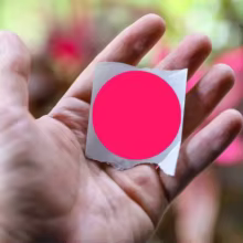 Adesivos Fluorescentes 500 Peças Thumbnail 5