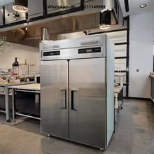 Freezer Vertical Industrial Thumbnail 1