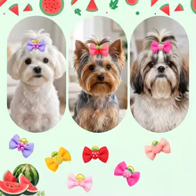Laços de Cães Frutas 3D - MRUQ PET Thumbnail 3