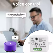 Interruptor Inteligente Wi-Fi RF Thumbnail 2
