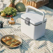 Mini Cooler 4,5L Camping Thumbnail 2