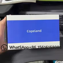 Filtro Copeland F-48R Original Thumbnail 2