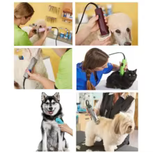 Lâmina de Tosquiadeira Profissional GA5 Thumbnail 4