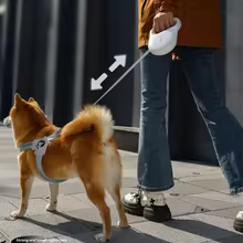 Coleira Retrátil 5M para Cães Thumbnail 2