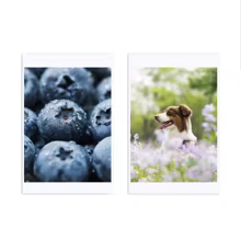Papel Fotográfico Xiaomi Mi Home Thumbnail 3