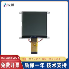 Display LCD COG 160160 Branco Thumbnail 1