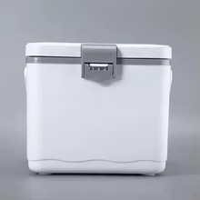 Mini Cooler 4,5L Camping Thumbnail 6