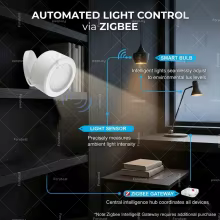 Sensor de Luz Zigbee Inteligente Thumbnail 2