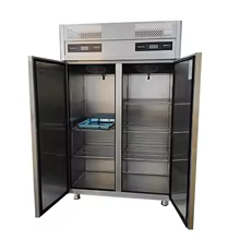Freezer Vertical Industrial Thumbnail 3