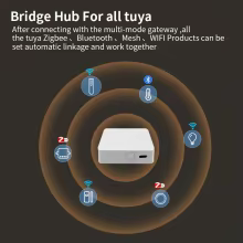 Gateway HIMOJO ZigBee Bluetooth Tuya Thumbnail 5