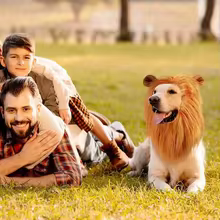 Fantasia de Leão para Cães Thumbnail 5