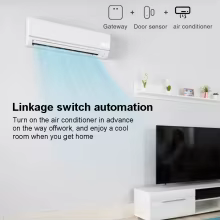 Sensor de Porta e Janela Zigbee Tuya Thumbnail 5
