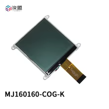 Display LCD COG 160160 Branco Thumbnail 3