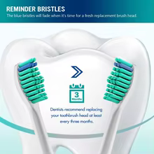 40 Cabeças de Escova Philips Sonicare Thumbnail 4