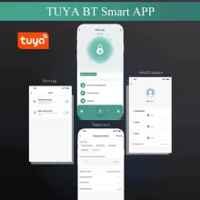 Smart Lock Tuya Fechadura Digital Thumbnail 4