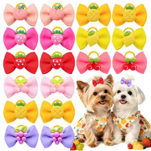 Laços de Cães Frutas 3D - MRUQ PET Thumbnail 1