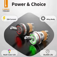 Interruptor Toggle LANBOO 16A LED Thumbnail 2