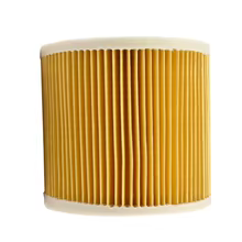 Filtro HEPA Karcher WD2 WD3 Thumbnail 4