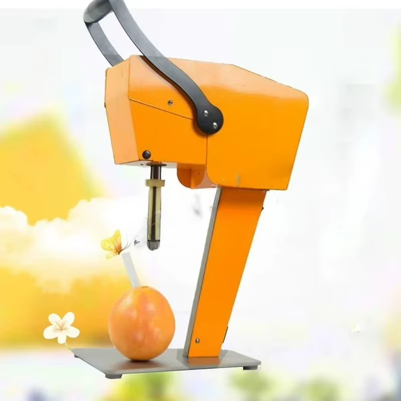 Espremedor de Frutas DIY KK15-X1