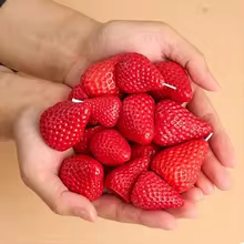 Molde Silicone Morango 3D Thumbnail 5