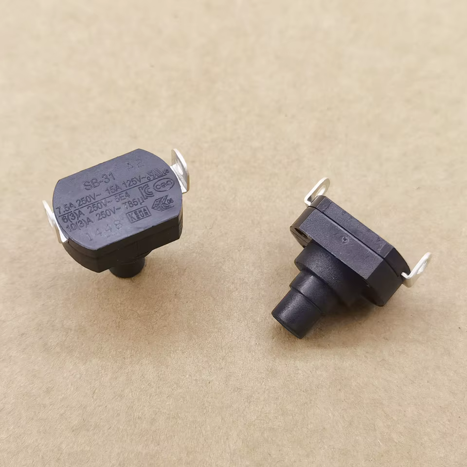 Interruptor SB-31 10A 250V