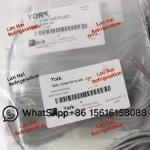 Sonda de Temperatura York 024W33670 Thumbnail 3