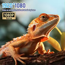 Projetor HORLAT 4K Android 35000 Lumens Thumbnail 2