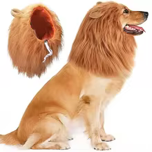 Fantasia de Leão para Cães Thumbnail 1