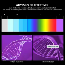 Esterilizador UV HOMEFISH Multifuncional Thumbnail 6