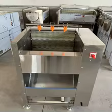 Máquina Descascadora Industrial Rotativa Thumbnail 1